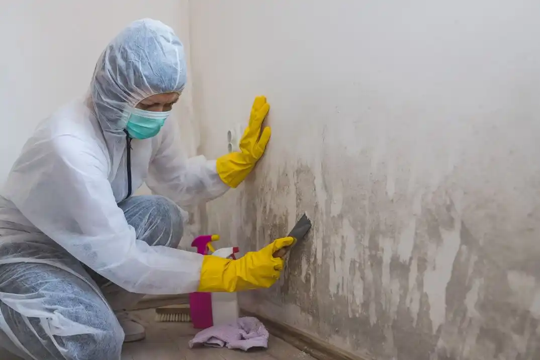 water damage restoration service Stone Brooke Crossing